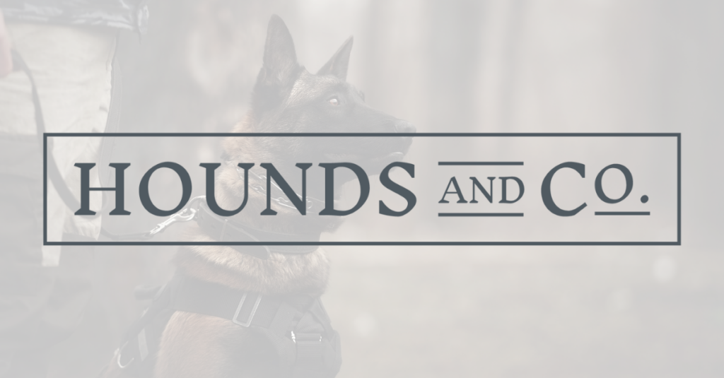 Hounds and Co. Blog logo