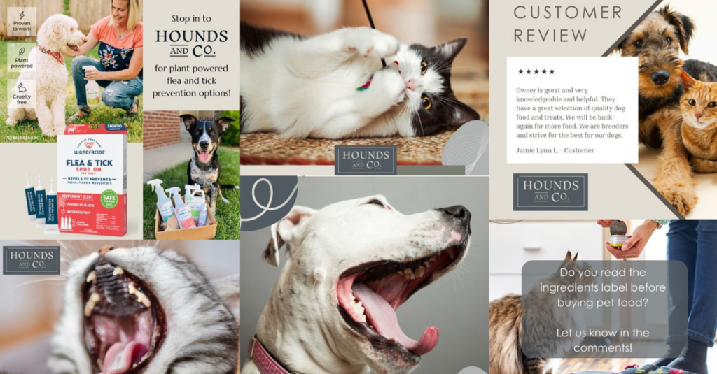 Hounds and Co. Social media examples